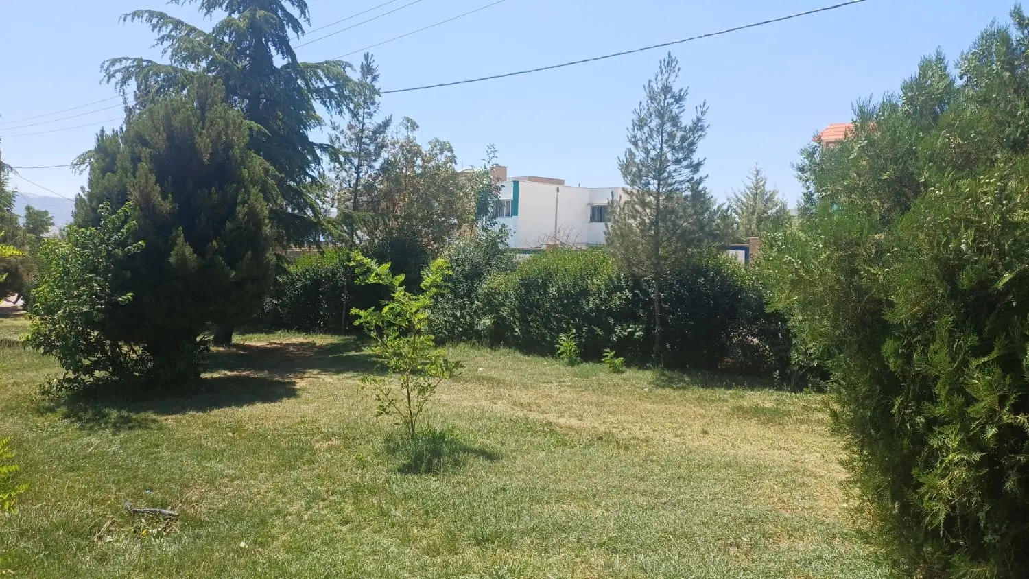 ۳۲۰متر زمین خلیج فارس یک بلهزار