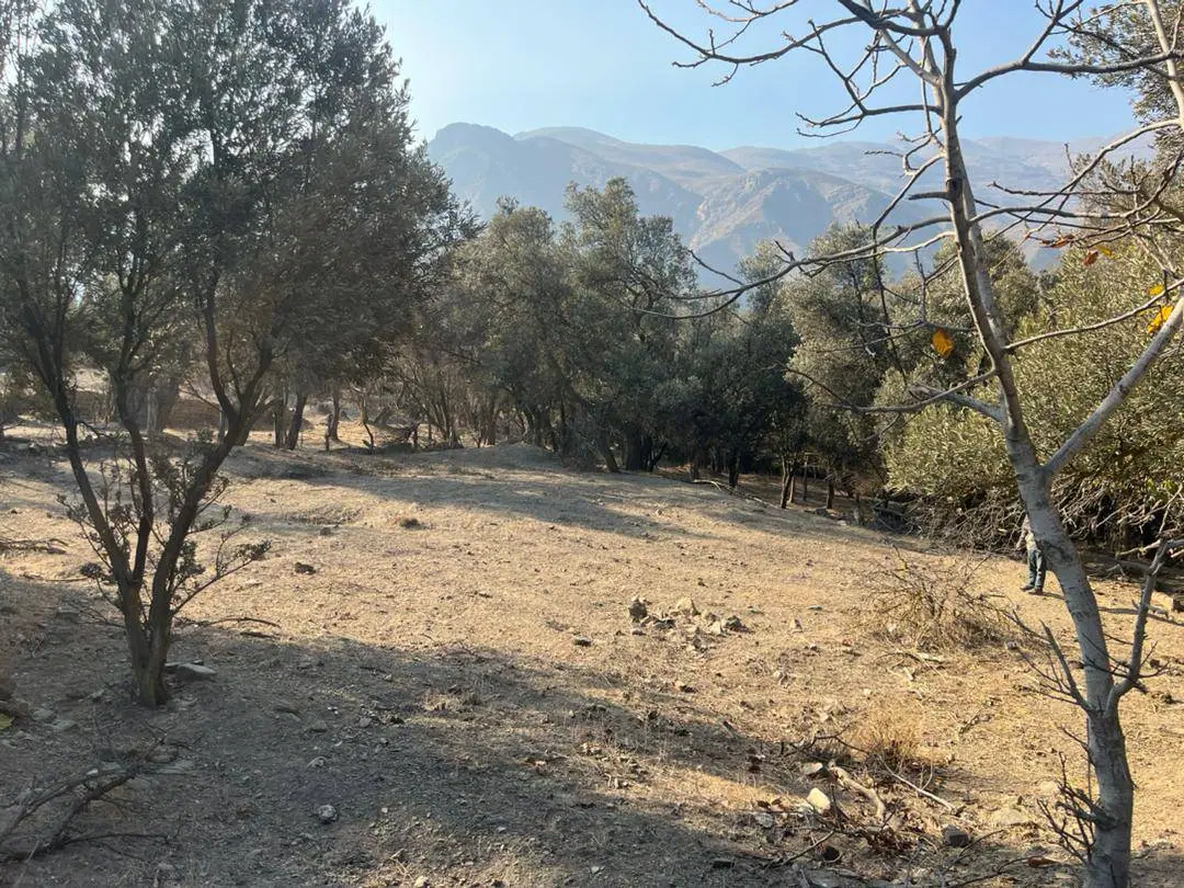 زمین با کاربری مسکونی