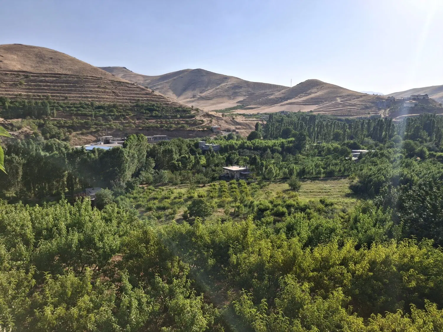فروش زمین کشاورزی