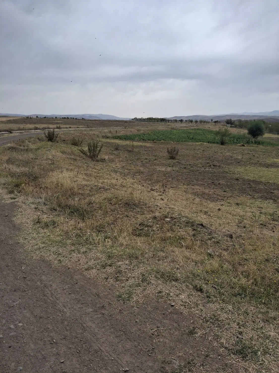 فروش زمین زراعی