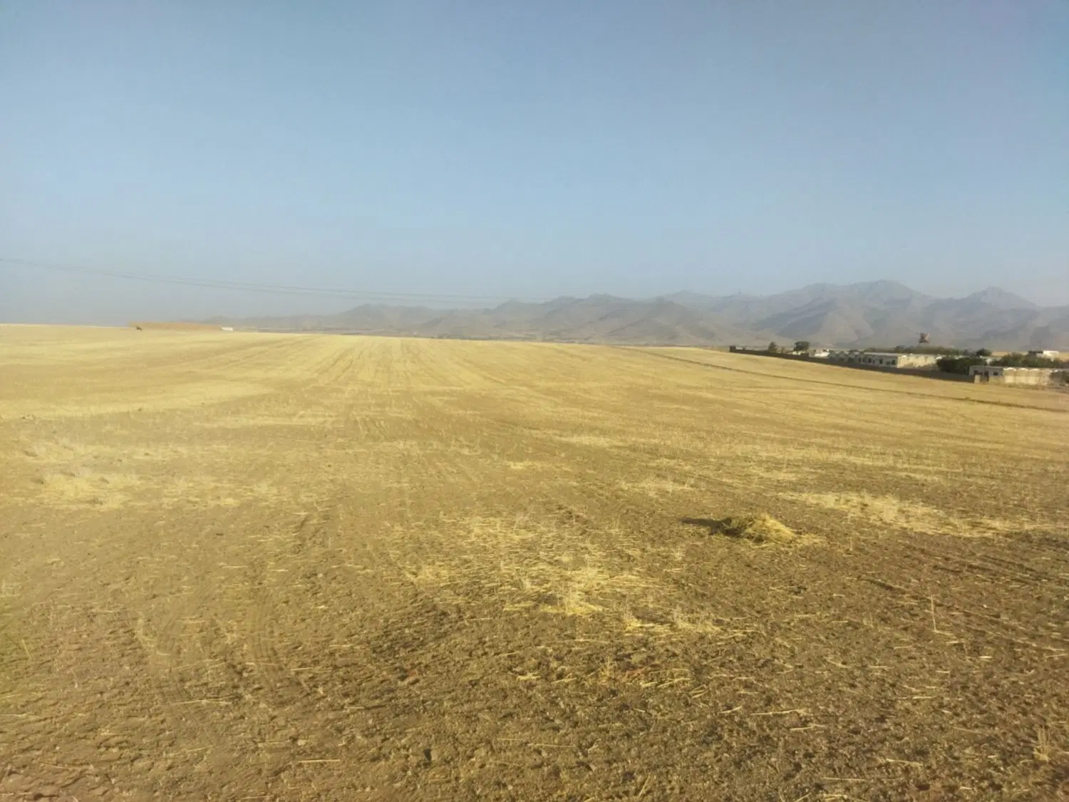 زمین کشاورزی