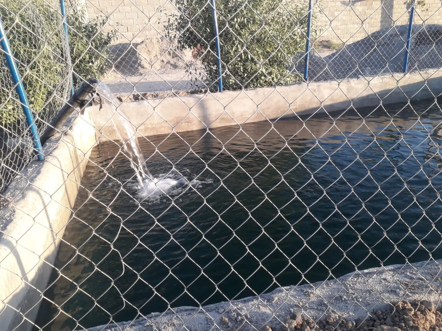 فروش  باغ