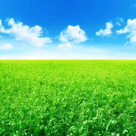 زمین کشاورزی آبی