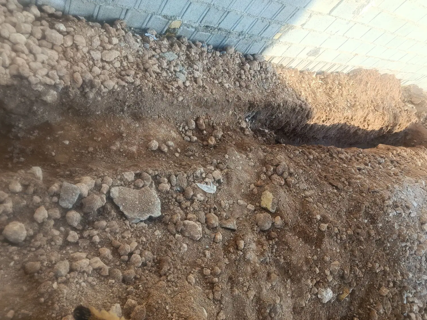 زمین سلطان آباد سند تک برگ
