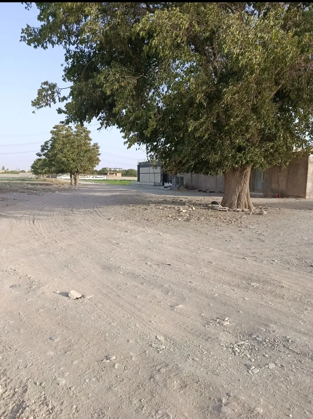 1000 متر زمین