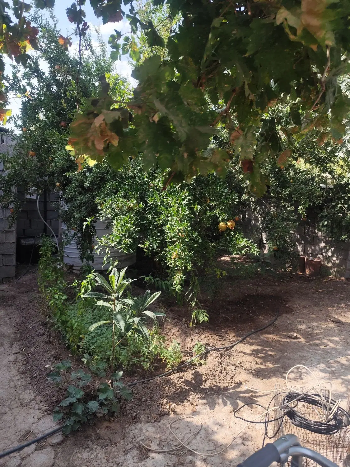 زمین تجاری ،کارگاهی شهرک گچی