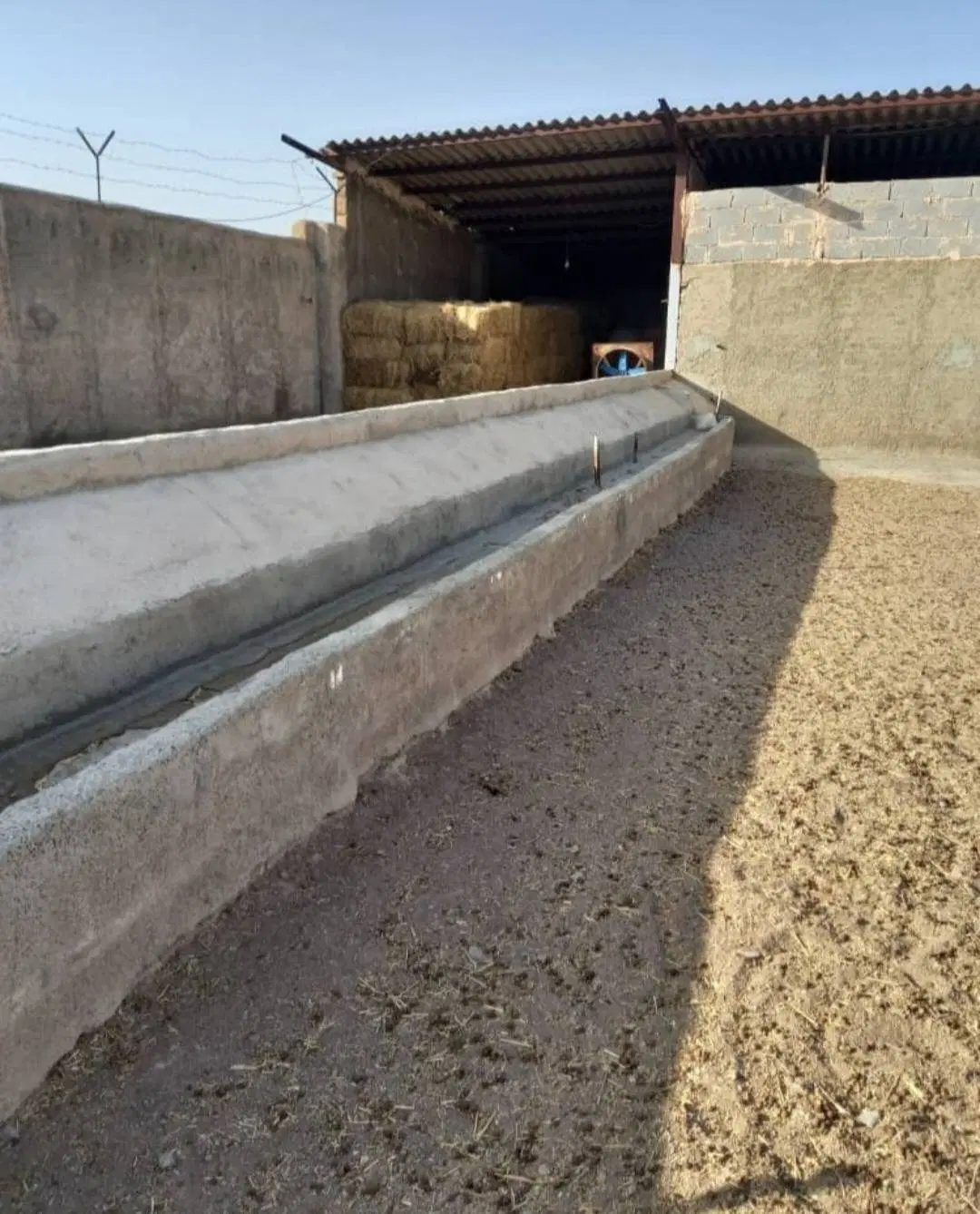 دامداری و گاوداری در ملارد