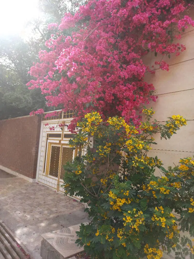 منزل مسکونی دویست متری لوانتور