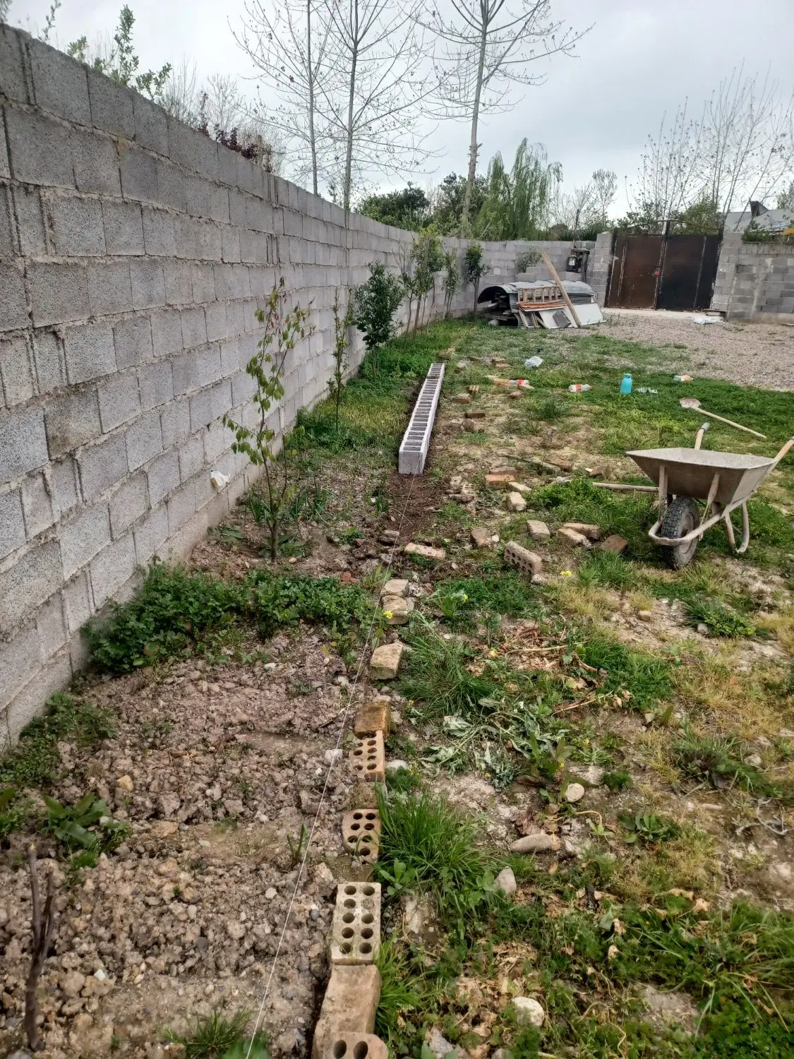 زمین باغی داخل طرح هادی متراژ ۳۵۰ متر