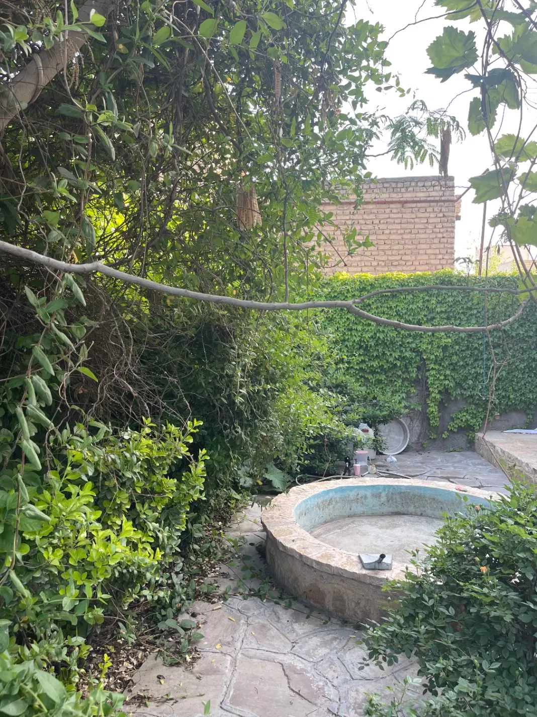 فروشی