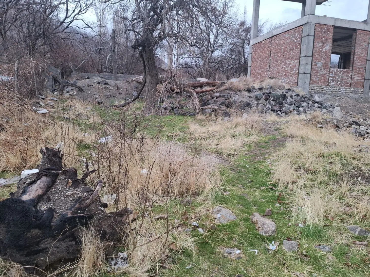 زمین دهبکری ۲۵۰متر