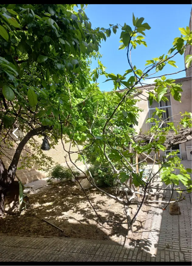 حیاط کلنگی مسیرامیرخیزشمس تبریزی