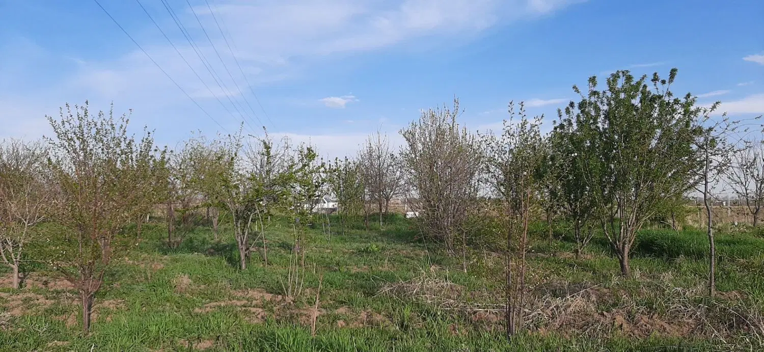 زمین کشاورزی فوری