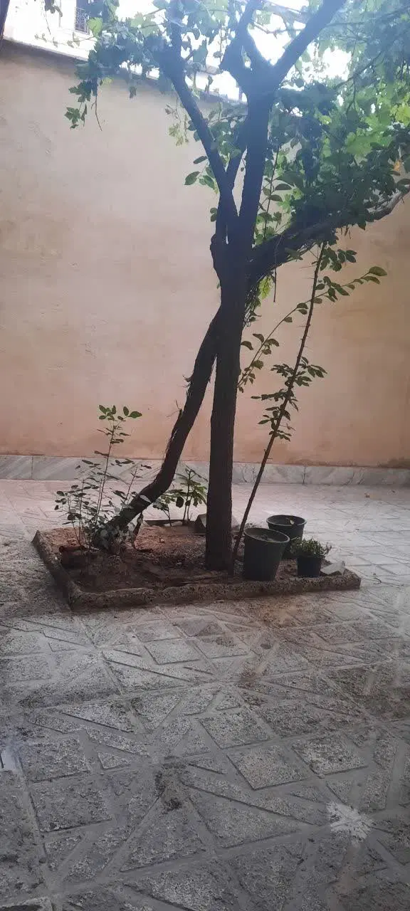 اجاره خانه فلکه دوم دولت آباد