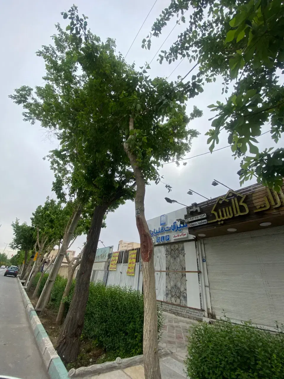 مغازه بر خیابان + مسکونی و زمین