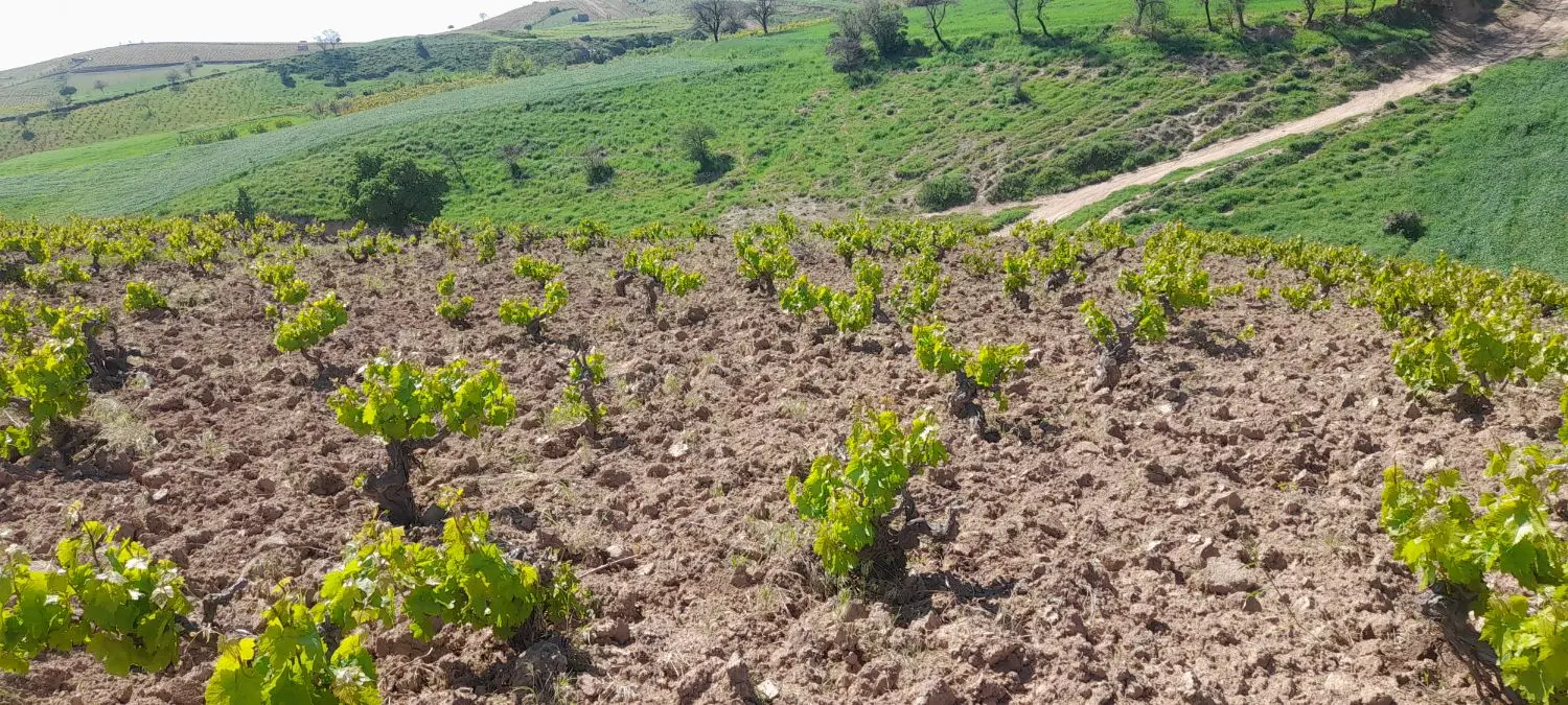 باغ ویو عالی چشمه خانبلاغ