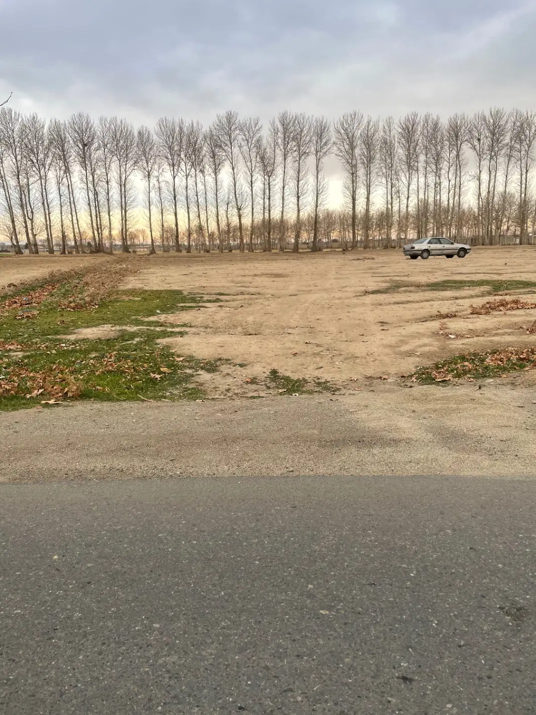 زمین باغی بر یوسف رضا