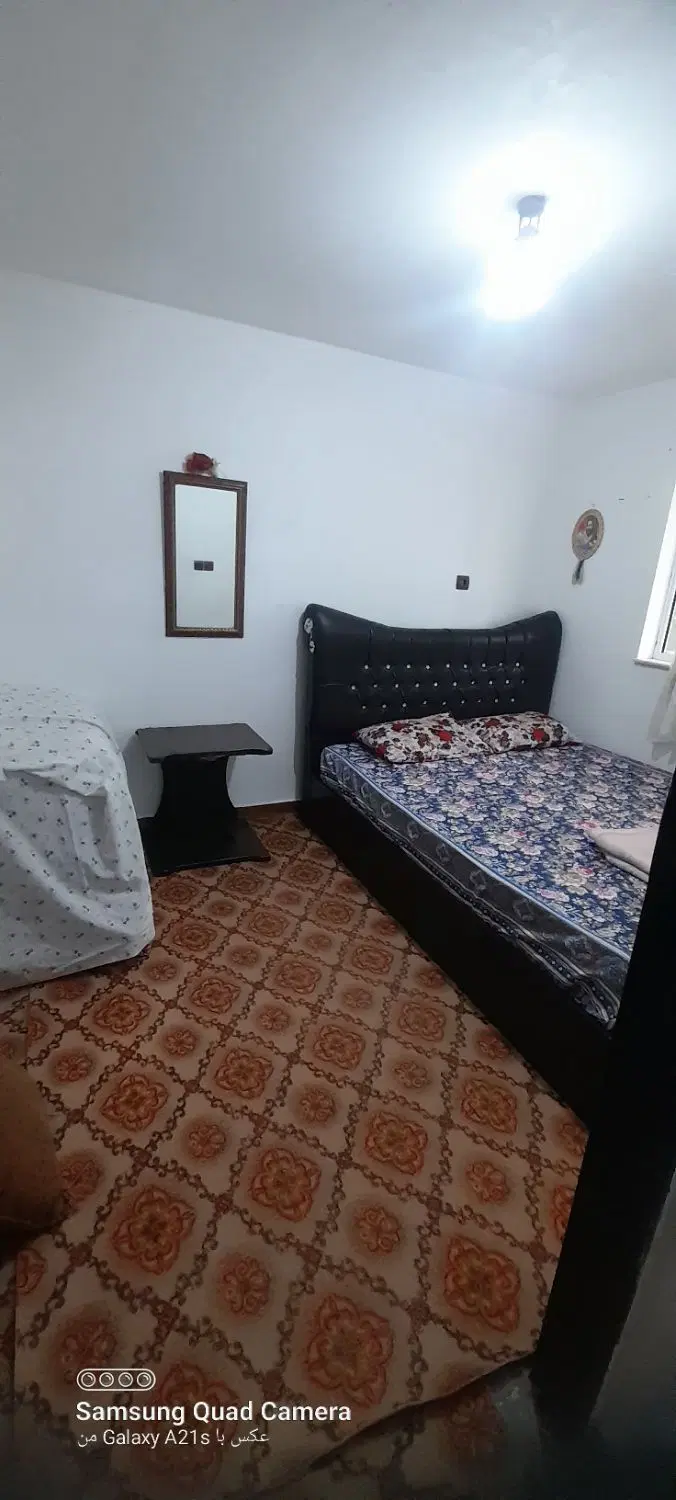 سوییت جنگلی سرسبز