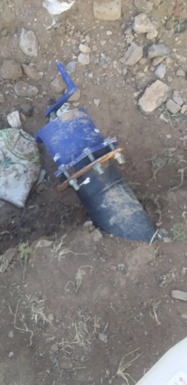 باغ انگور ومیوه