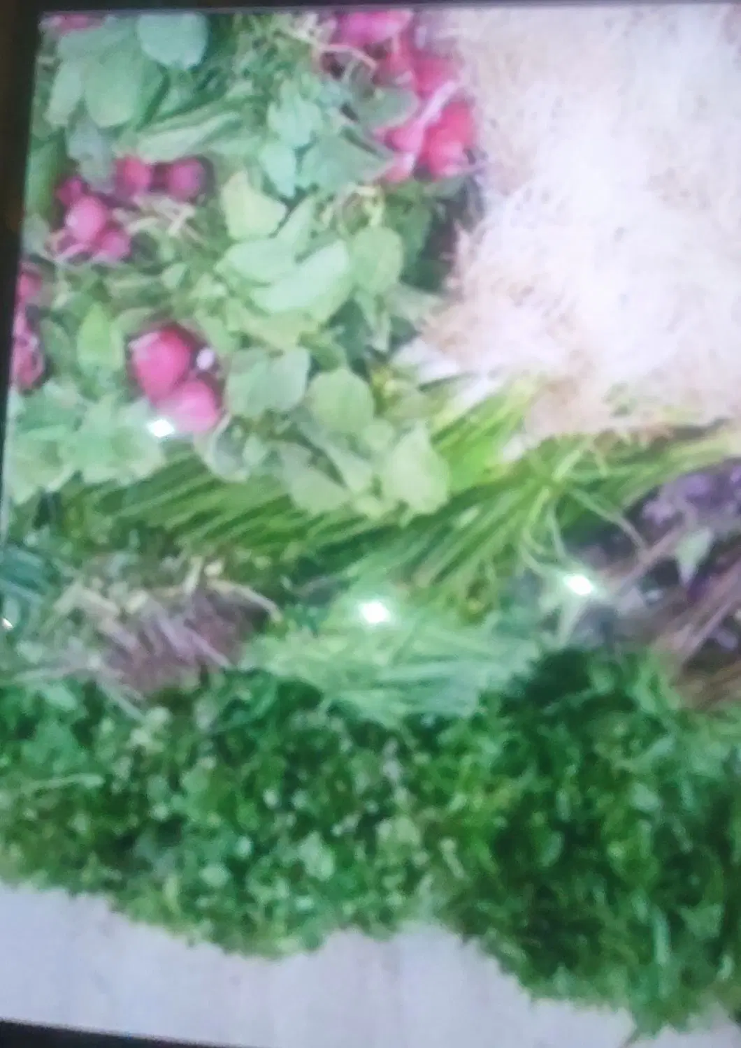 سبز فروشی