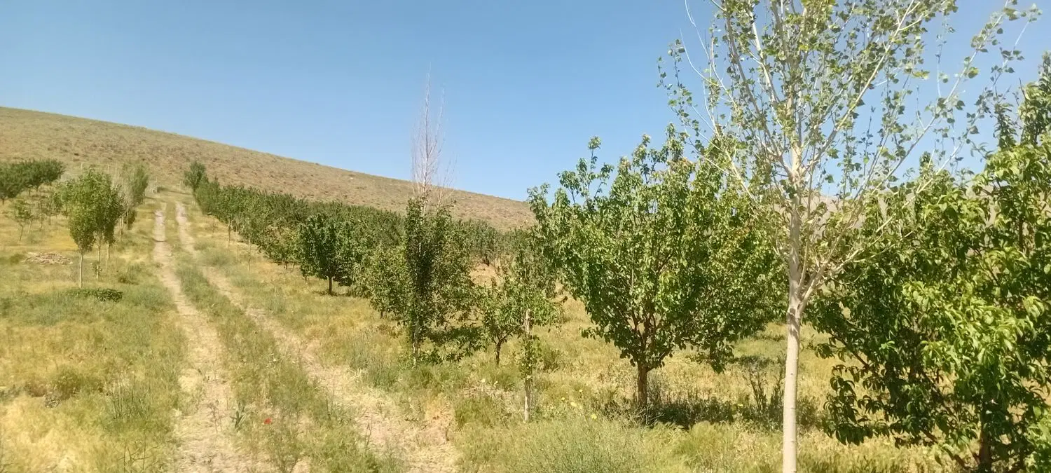 زمین هکتاری و متراز به دلخواه