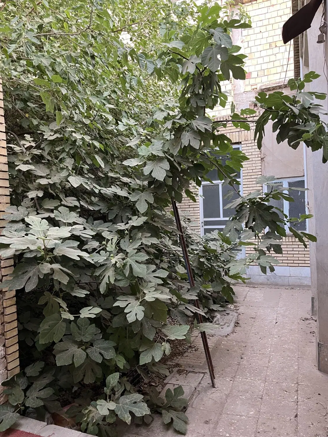 فروش منزل مسکونی