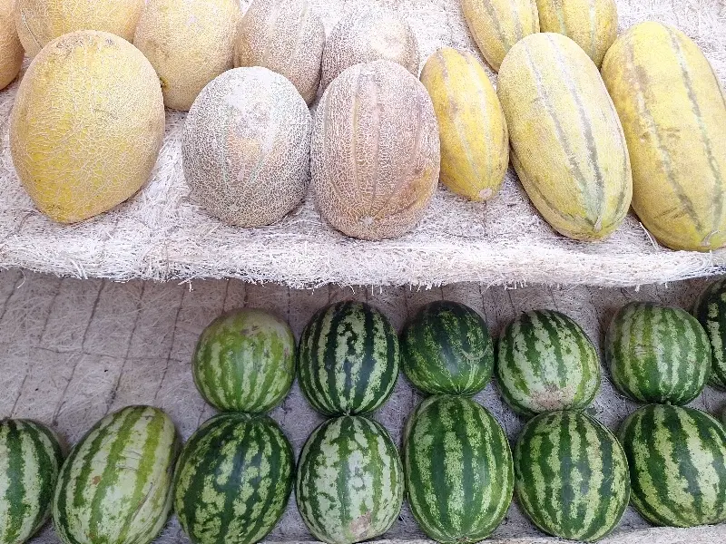 واگذاری میوه فروشی