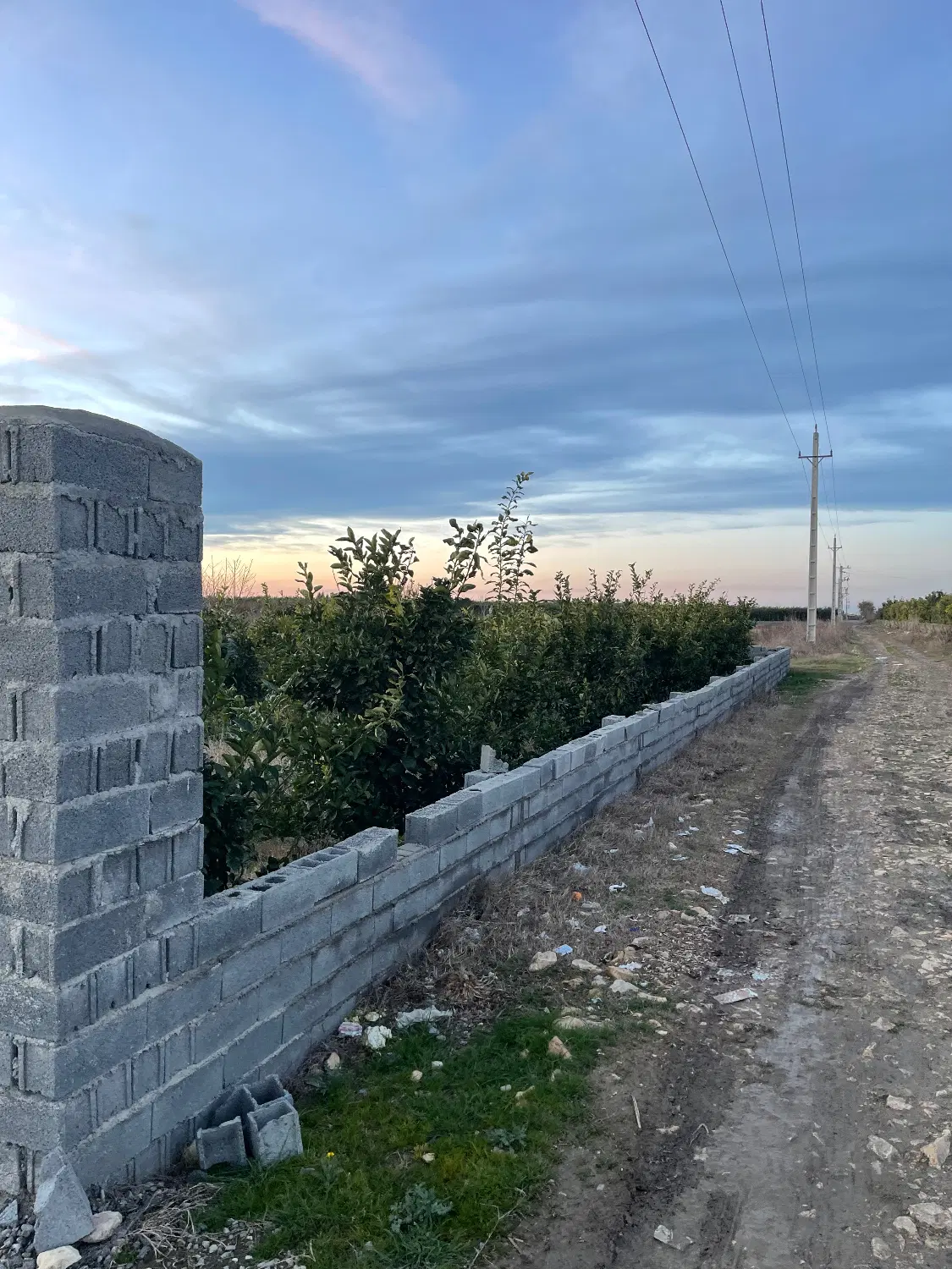 خونه باغچه ای