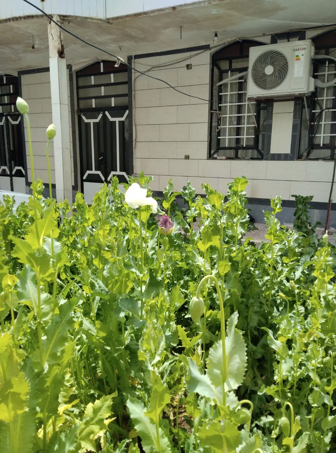 فروش منزل مسکونی
