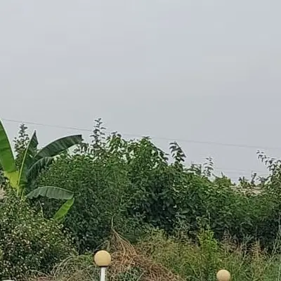 زمین عین دو ۱۸متری آخر