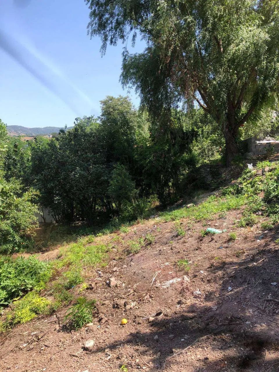 فروش ملک