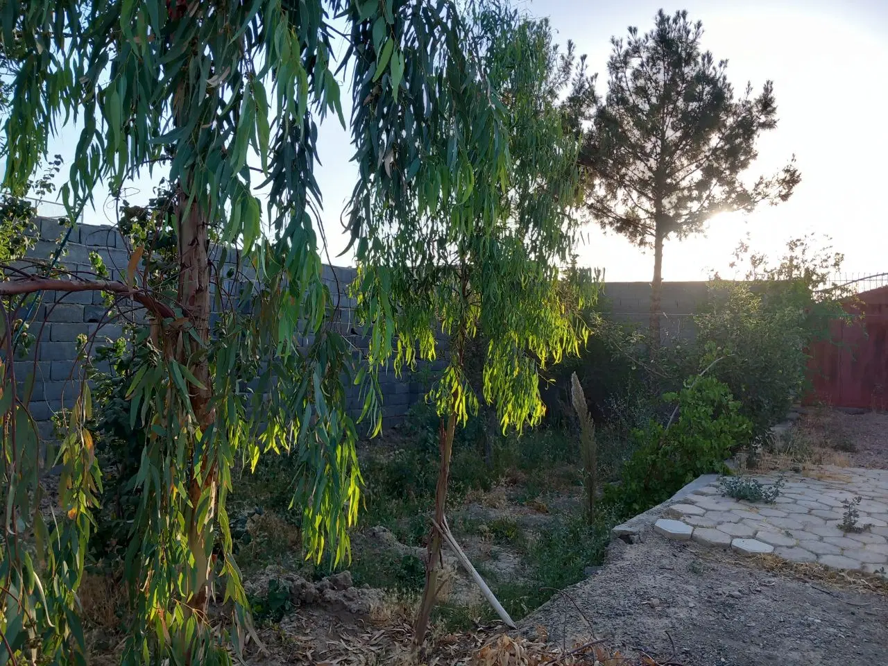 باغ کبوترآباد