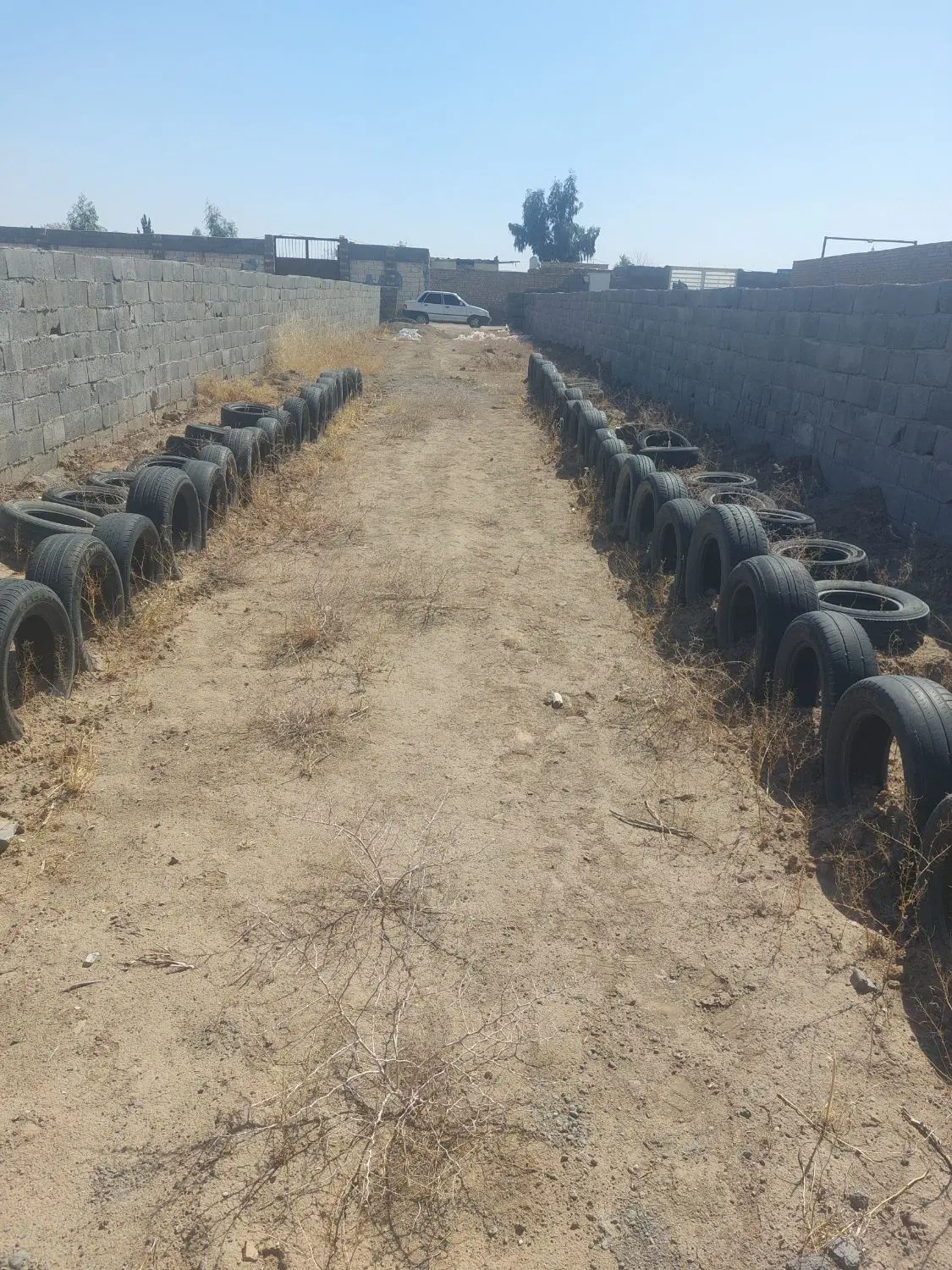 زمین باغی و باغچه
