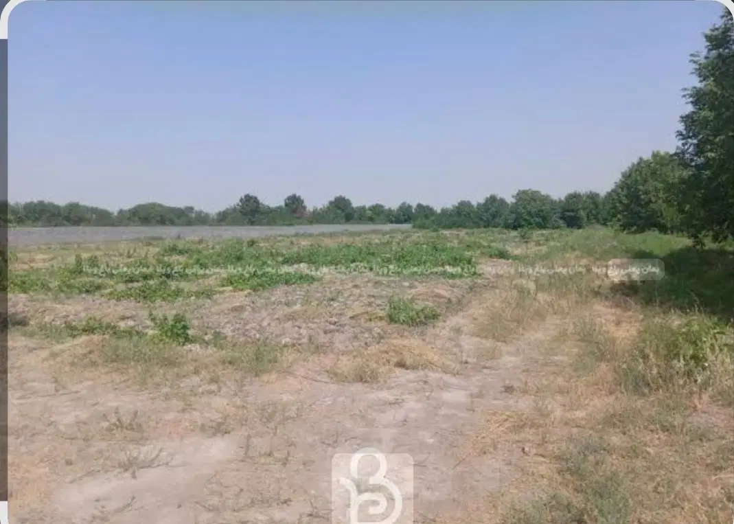 زمین باغی مناسب گلخانه