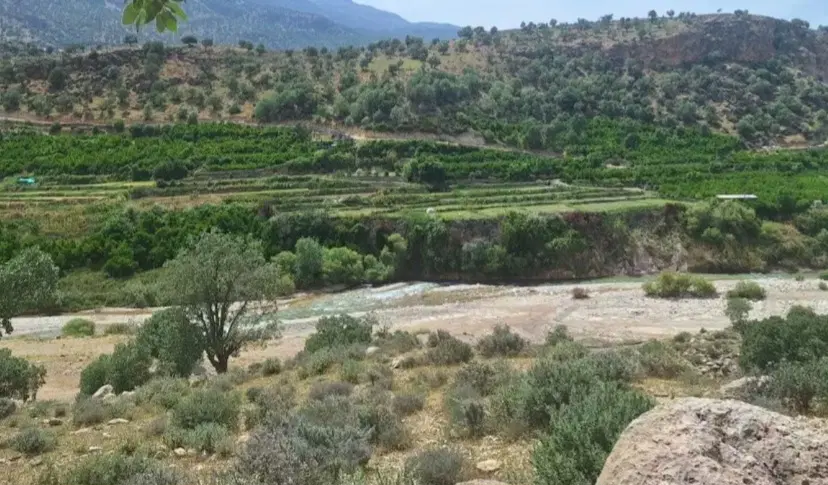 زمین مسکونی گورک زایر ابراهیمی