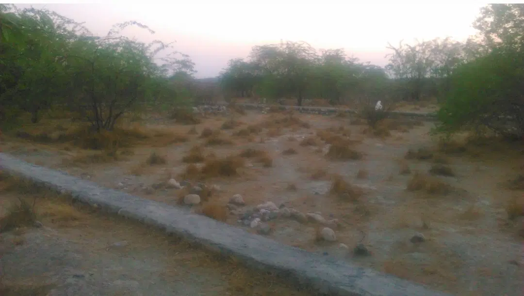 زمین ۶۰۰متری