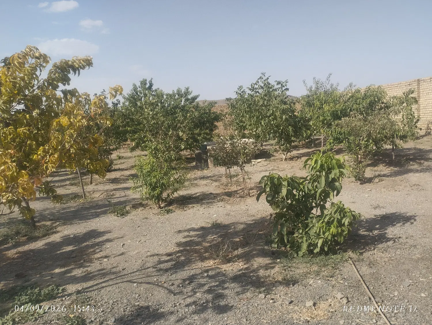 خانه ویلایی
