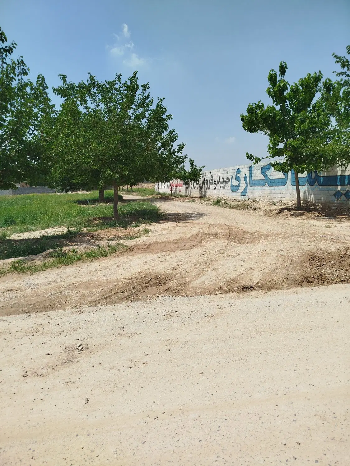 هزار متر زمین باغی