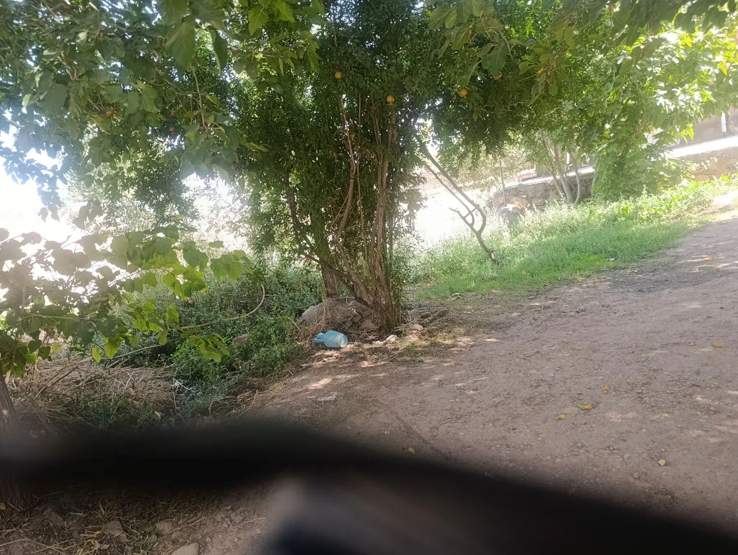 رهن و اجاره یک خانه مسکونی حیاط بزرگ .باغ ویلا