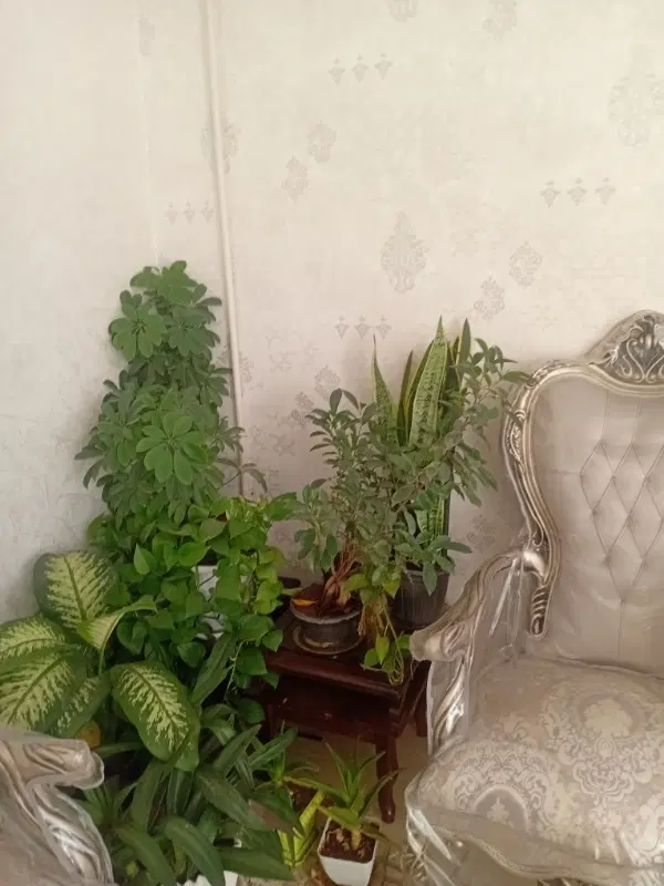 خانه ویلایی 164 متر دو طرف ساخت