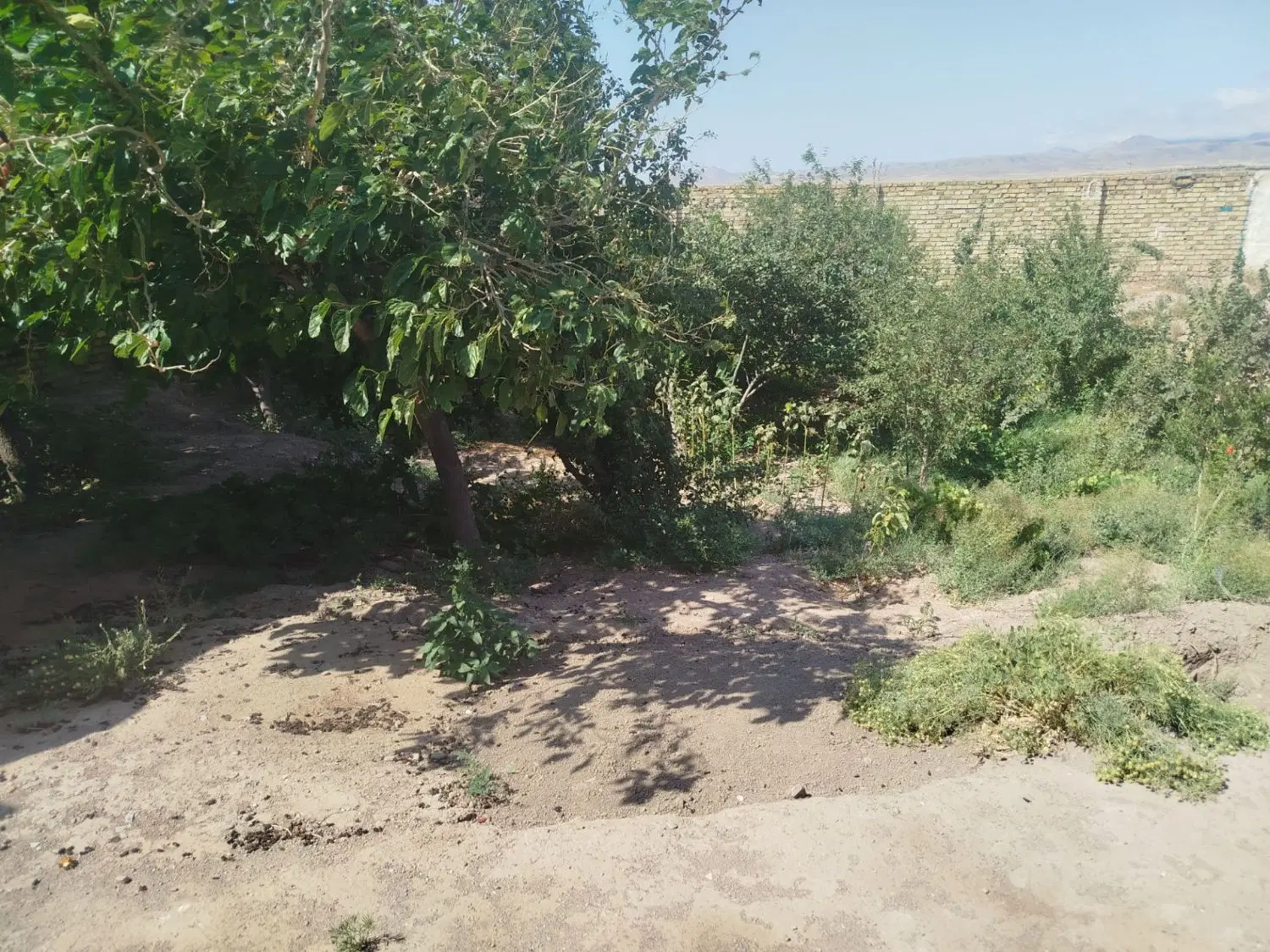۴۷۰متر خانه باغ
