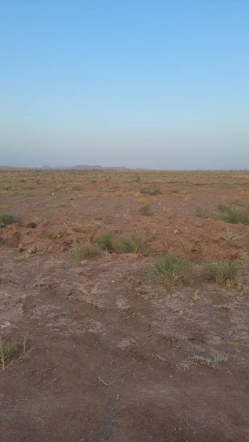 زمین ۱۰۰۰ متری دو بر