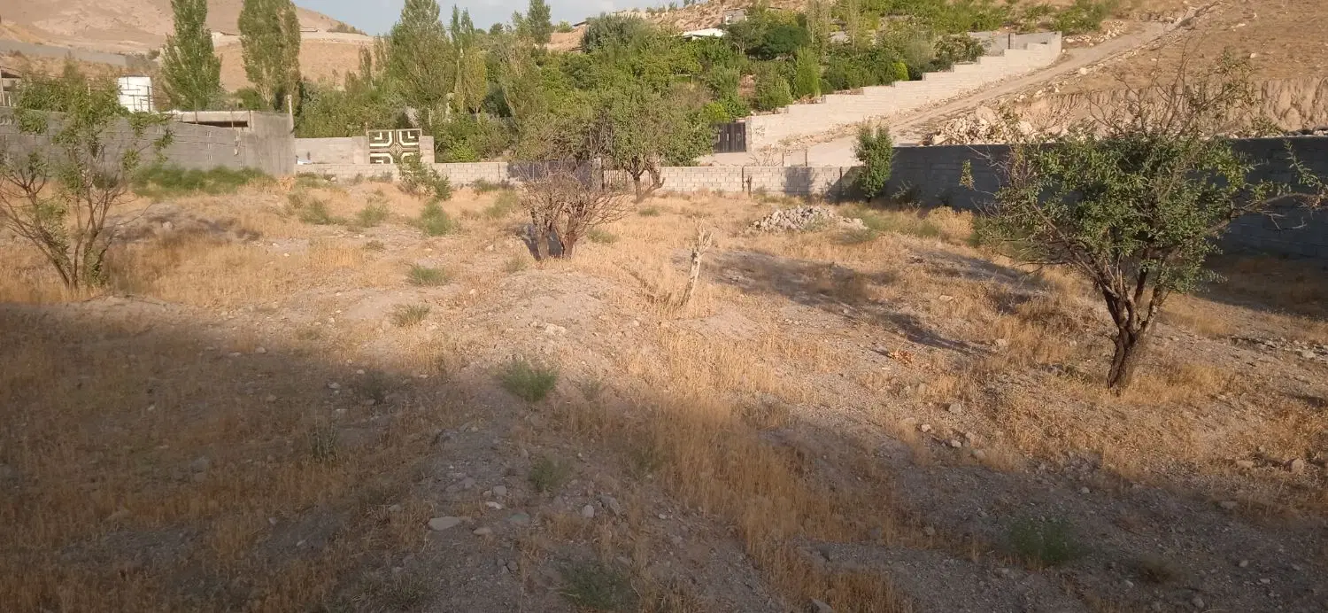 باغ در اسفنجان