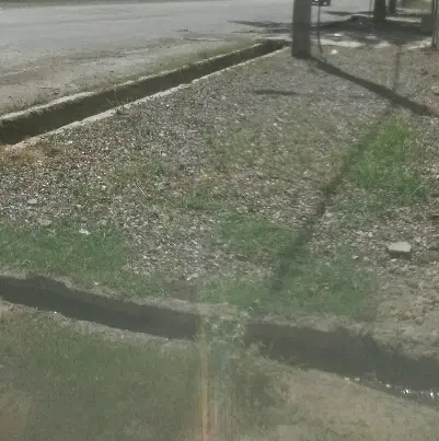 زمین کشاورزی