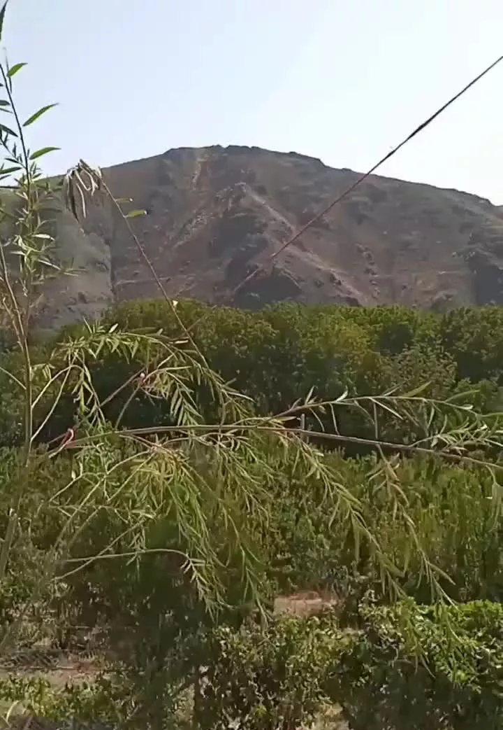باغ