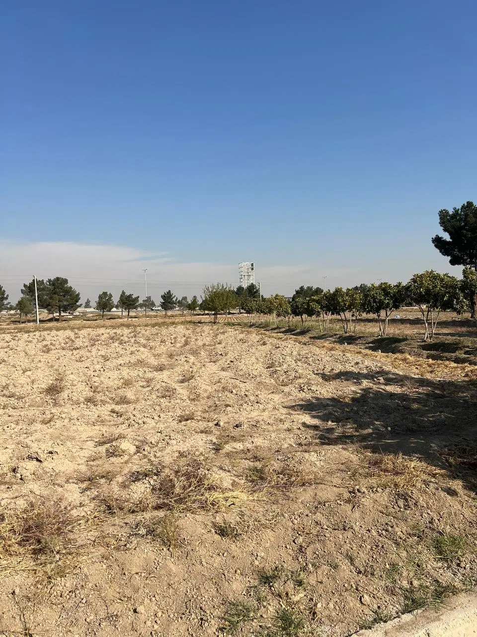 زمین کشاورزی