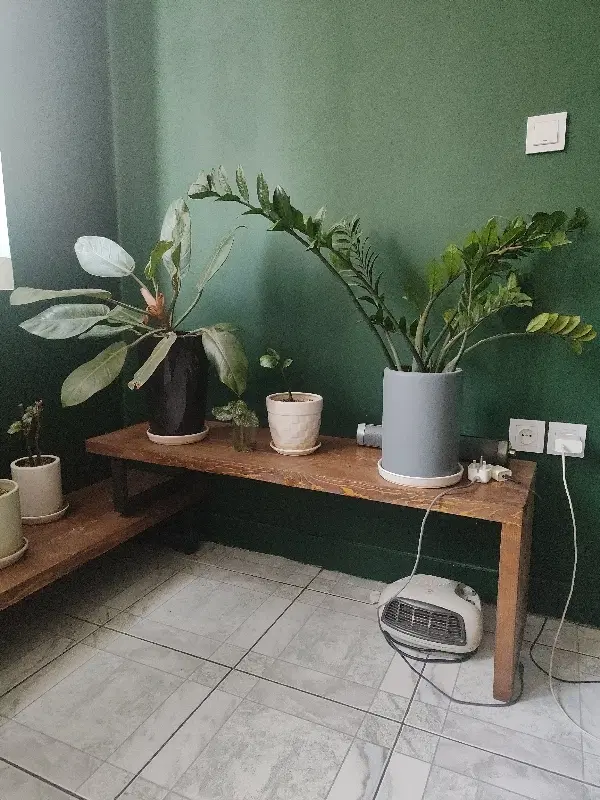 سوییت ۳۵ متر