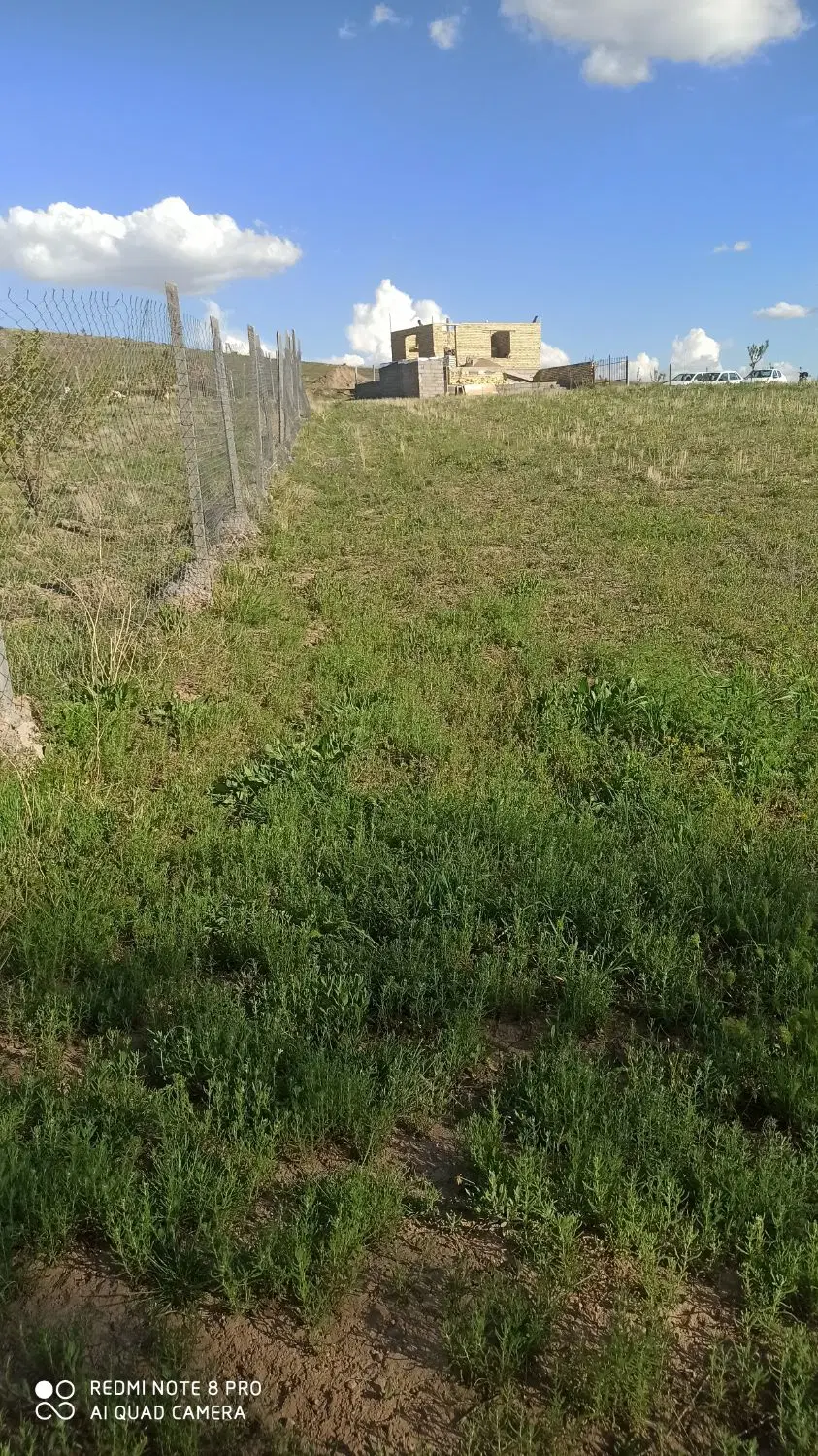 زمین باغ روستای همایون