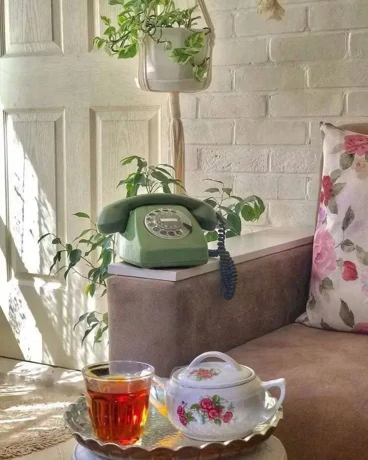 همخونه خانم