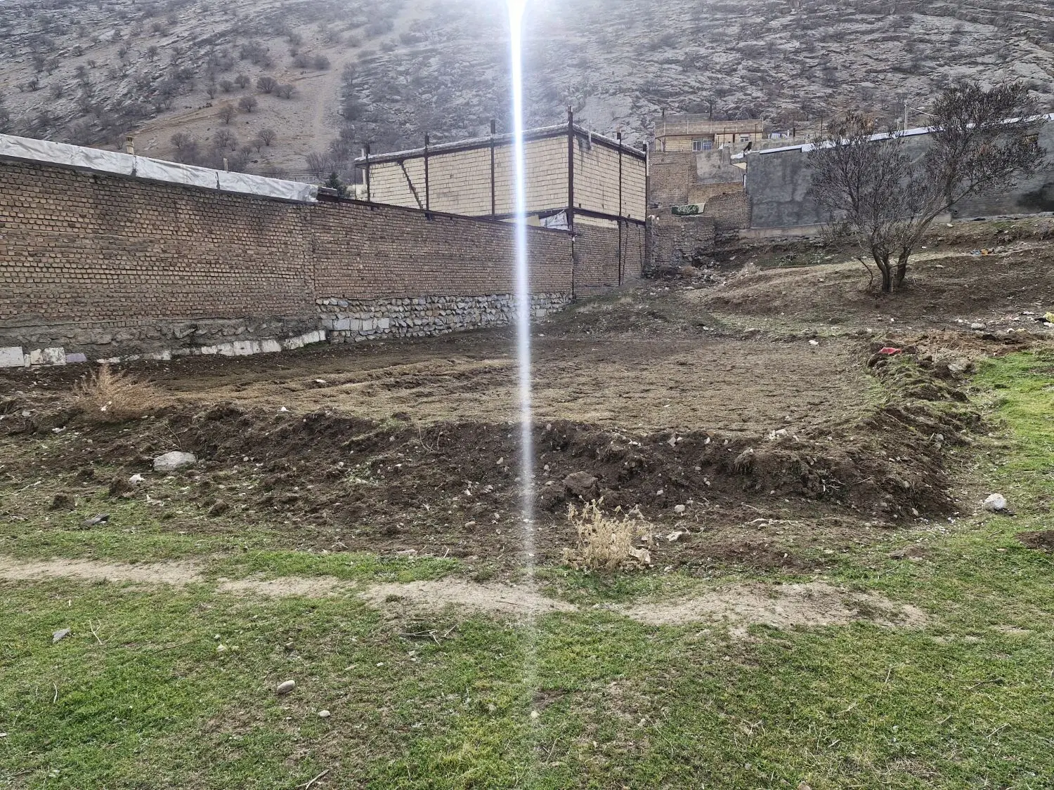 زمین پاپی خالدار